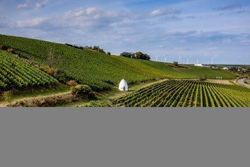 Uffhofener La Roche Uffhofener La Roche