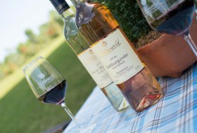 Weingut Nibelungenhof_Weinflaschen © Weingut Nibelungenhof Weingut Nibelungenhof_Weinflaschen © Weingut Nibelungenhof