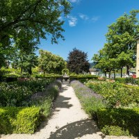 Kulturufer © Bingen Tourismus & Kongress GmbH © Dominik Ketz Kulturufer © Bingen Tourismus & Kongress GmbH © Dominik Ketz