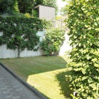 Garten Garten