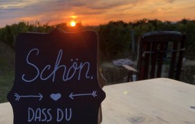 Weinpicknick abends © Weingut Kupper Weinpicknick abends © Weingut Kupper