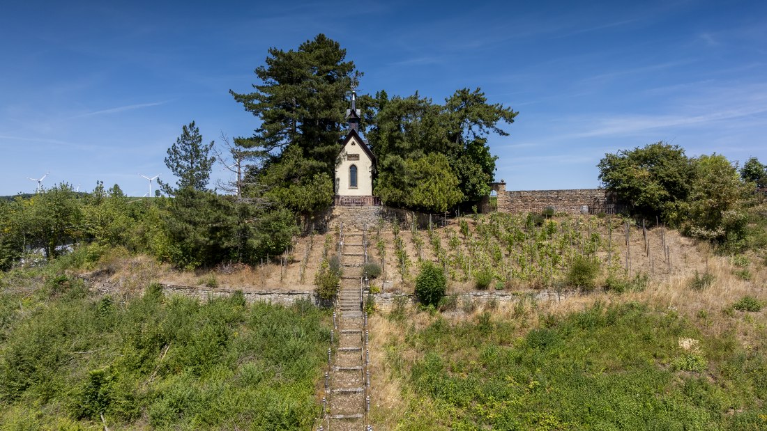 Weinheimer Heiliger Blutberg, © Torsten Silz Weinheimer Heiliger Blutberg, © Torsten Silz