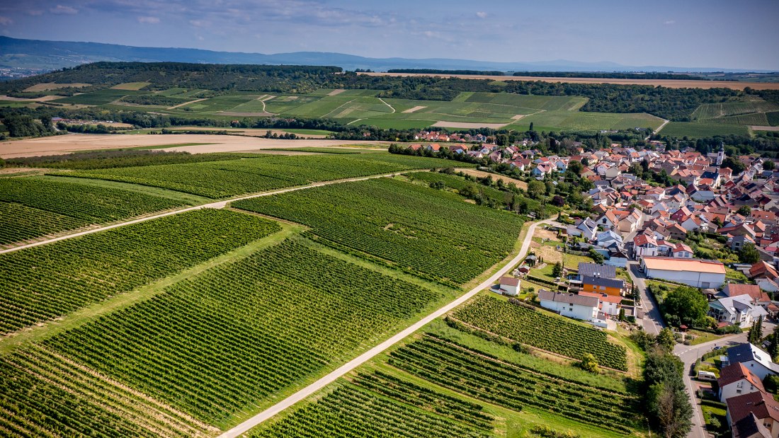 Appenheimer Eselspfad Appenheimer Eselspfad