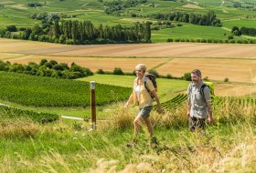 Wandern auf der Hiwweltour Stadecker Warte © © Dominik Ketz Wandern auf der Hiwweltour Stadecker Warte © © Dominik Ketz