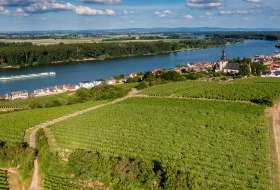 Niersteiner Kranzberg Niersteiner Kranzberg