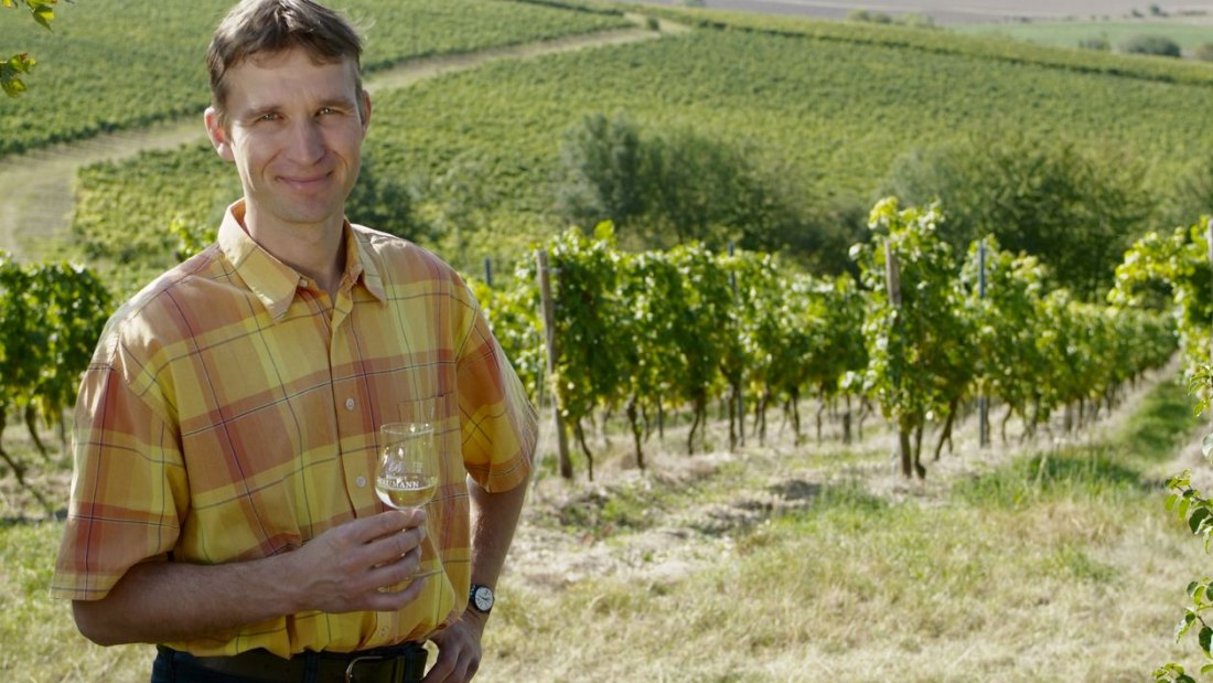 Weingut_Baumann_112_160907, © Weingut Baumann Weingut_Baumann_112_160907, © Weingut Baumann