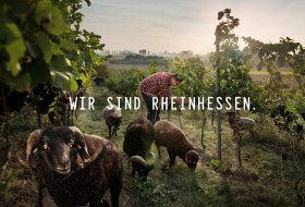 Titelfoto Wir sind Rheinhessen © David Maupilé Titelfoto Wir sind Rheinhessen © David Maupilé