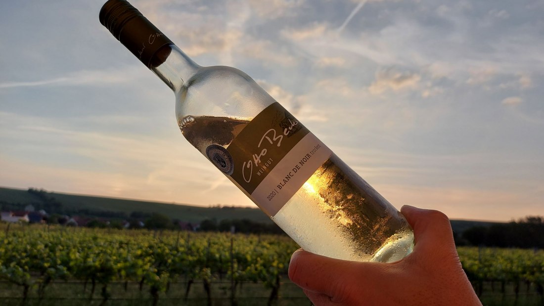 Weingut Otto Becker_bei Sonnenuntergang, © Weingut Otto Becker Weingut Otto Becker_bei Sonnenuntergang, © Weingut Otto Becker