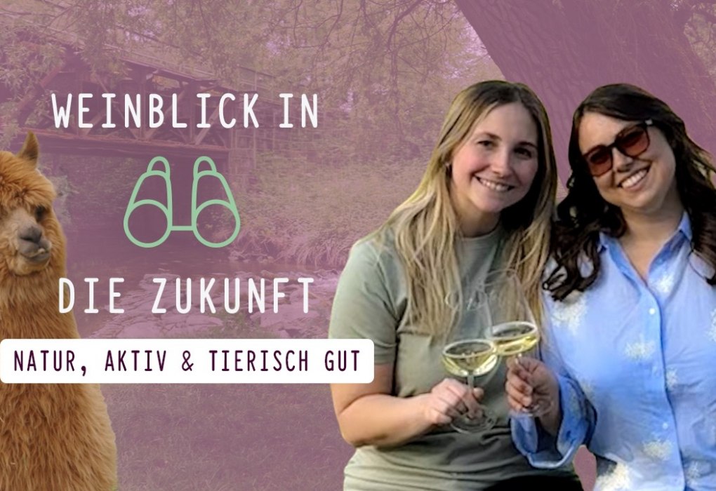 Vorschau Folge 11 Vorschau Folge 11