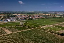 Mörstadter Nonnengarten Mörstadter Nonnengarten