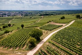 Westhofener Kirchspiel Westhofener Kirchspiel