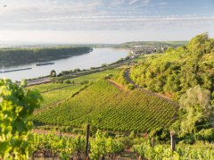 Nierstein Blick © Georg Knoll Nierstein Blick © Georg Knoll