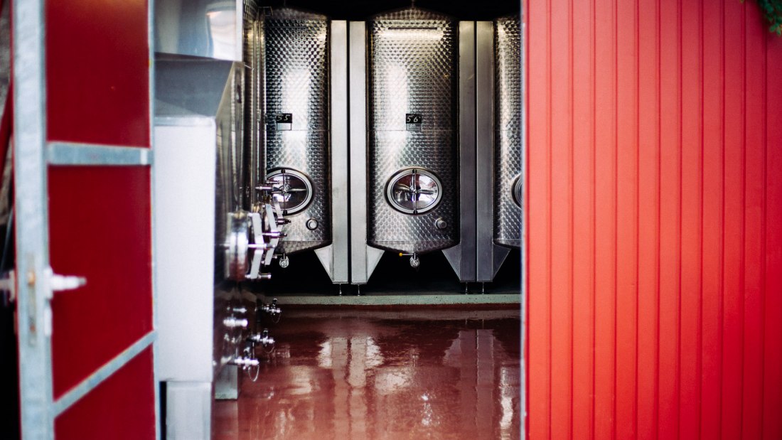 20230905_Weingut_Fischborn_Schenk_Web-53 20230905_Weingut_Fischborn_Schenk_Web-53