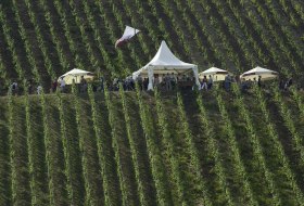 Nierstein Weinpräsentation am Roten Hang Nierstein Weinpräsentation am Roten Hang