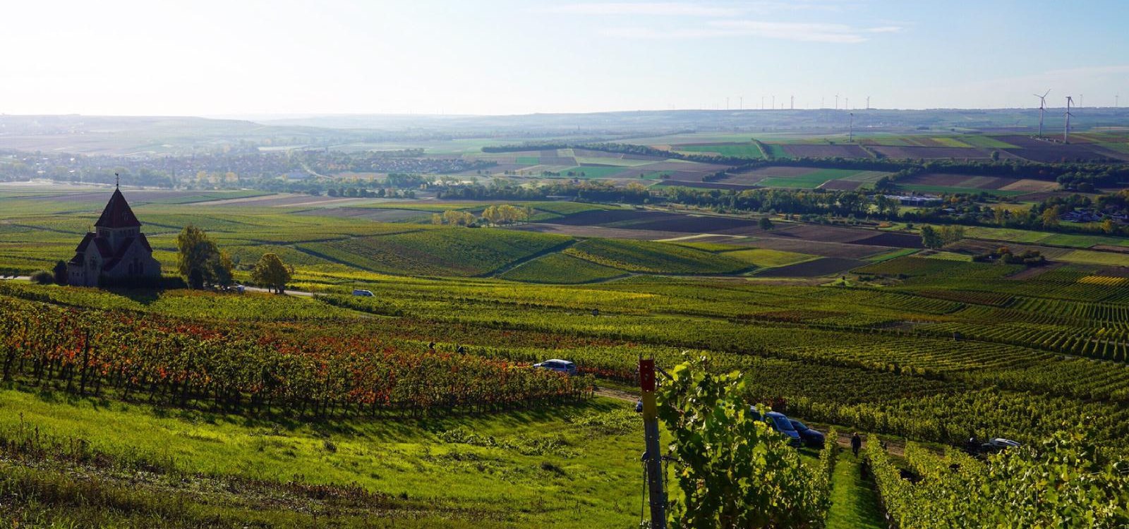 © Weingut Schnabel © Weingut Schnabel
