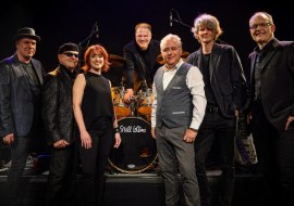 Still Collins Still Collins