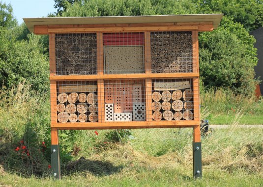 Wildbienen © J. Müller-Steinbrech Wildbienen © J. Müller-Steinbrech