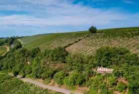 Niersteiner Ölberg Niersteiner Ölberg