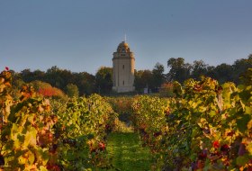 Bismarckturm mit Blick von den Weinbergen © Rainer Oppenheimer/Stadt Ingelheim Bismarckturm mit Blick von den Weinbergen © Rainer Oppenheimer/Stadt Ingelheim