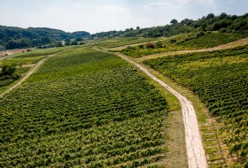 Jugenheimer Goldberg Jugenheimer Goldberg