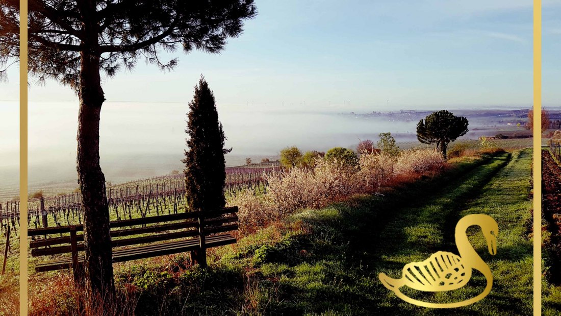 logo-afbeelding-for-weinartwonnegau, © Weingut Schwahn-Fehlinger logo-afbeelding-for-weinartwonnegau, © Weingut Schwahn-Fehlinger