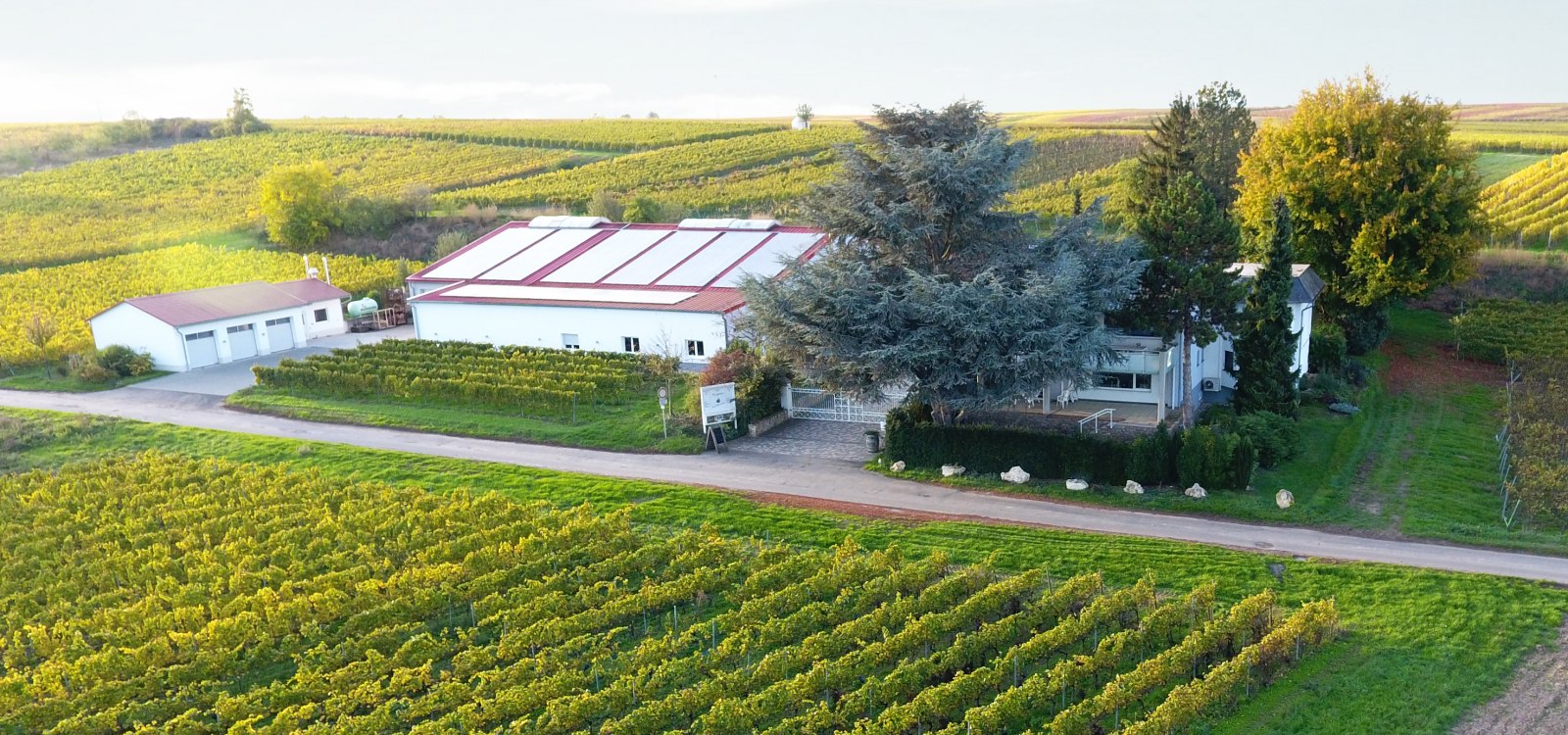 Weingut Drohnenaufnahme, © Weingut Kaltenthaler Weingut Drohnenaufnahme, © Weingut Kaltenthaler