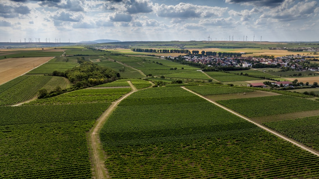 Mörstädter Katzebuckel, © Torsten Silz Mörstädter Katzebuckel, © Torsten Silz