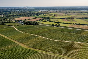 Bodenheimer Mönchspfad Bodenheimer Mönchspfad