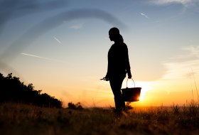 Weingut Schittler & Becker_Sonnenuntergang © Weingut Schittler & Becker Weingut Schittler & Becker_Sonnenuntergang © Weingut Schittler & Becker