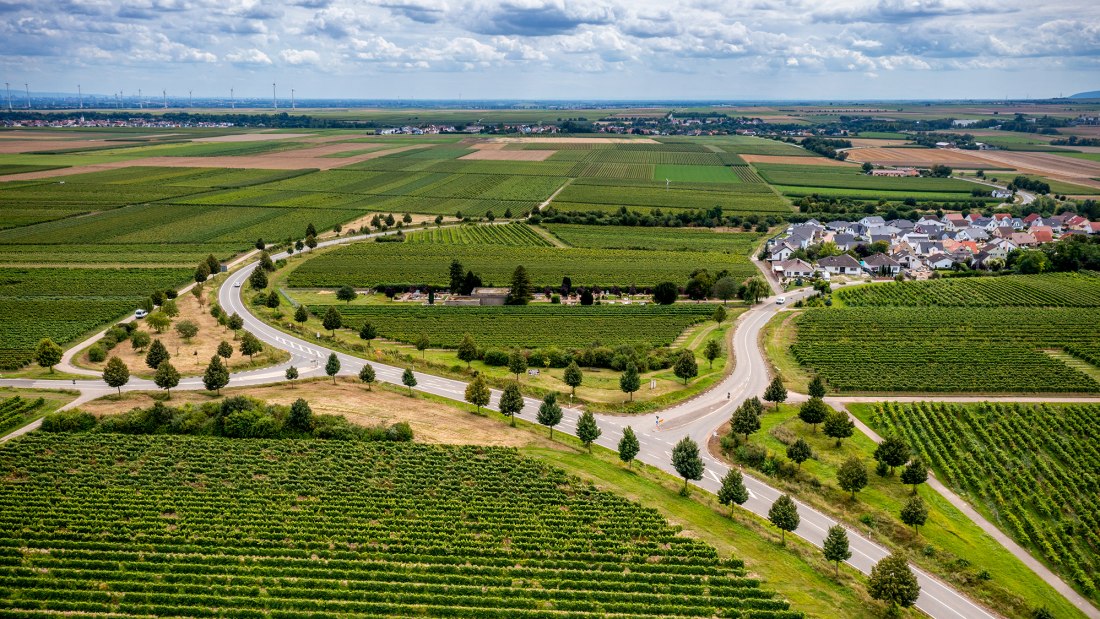 Hohen-Sülzener Kirchenstück Hohen-Sülzener Kirchenstück