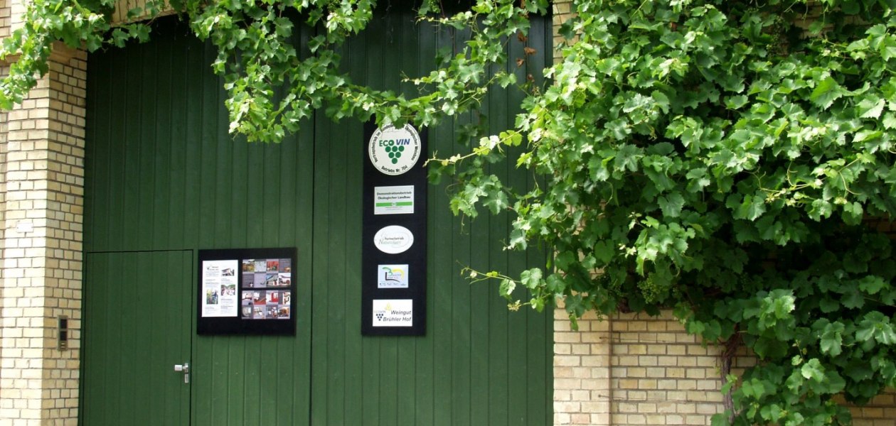 bruehler-hof-zomer-gevoel-op-het-wijnterras-3, © Weingut Brühler Hof bruehler-hof-zomer-gevoel-op-het-wijnterras-3, © Weingut Brühler Hof