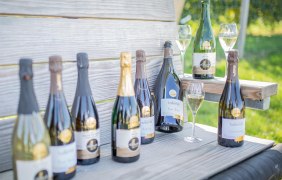 Wein- und Sektgut Nikolaushof 1 © Nikolaushof Wein- und Sektgut Nikolaushof 1 © Nikolaushof