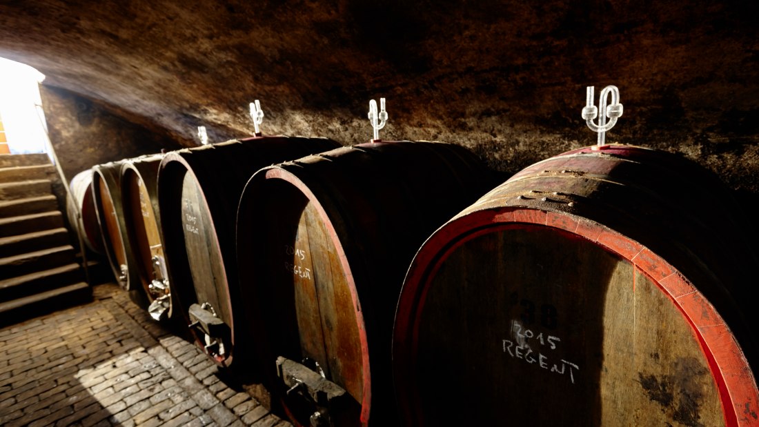 © Weingut Johanneshof © Weingut Johanneshof
