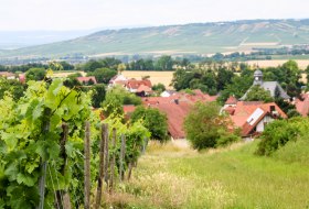 ansicht-rommersheim ansicht-rommersheim