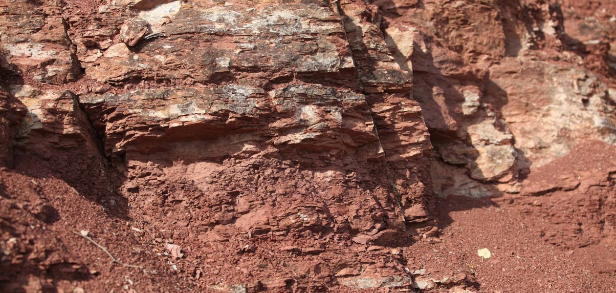 Roter Hang Strub Nierstein1, © Michael von Haugwitz Roter Hang Strub Nierstein1, © Michael von Haugwitz