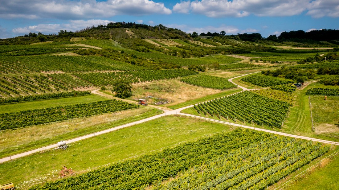 Dromersheimer Klosterweg Dromersheimer Klosterweg