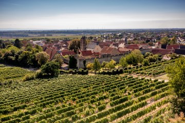 Dahlsheimer Bürgel DJI_0388 Dahlsheimer Bürgel DJI_0388