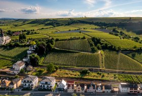 Niersteiner Zehnmorgen Niersteiner Zehnmorgen