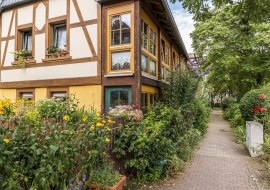 Promenade Guntersblum, © Achim Meurer Promenade Guntersblum, © Achim Meurer