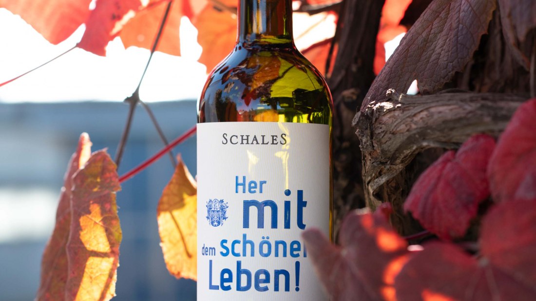 © Weingut Schales © Weingut Schales