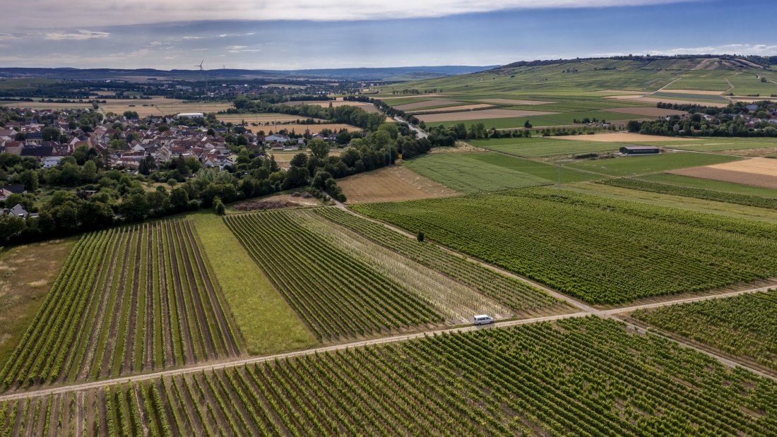 Wallertheimer Vogelsang-DJI_0756, © Rheinhessenwein e.V., Torsten Silz Wallertheimer Vogelsang-DJI_0756, © Rheinhessenwein e.V., Torsten Silz