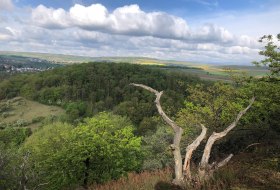 Ausblick von der Hexenkanzel © Tourist Information Alzeyer Land und Rheinhessische Schweiz Ausblick von der Hexenkanzel © Tourist Information Alzeyer Land und Rheinhessische Schweiz