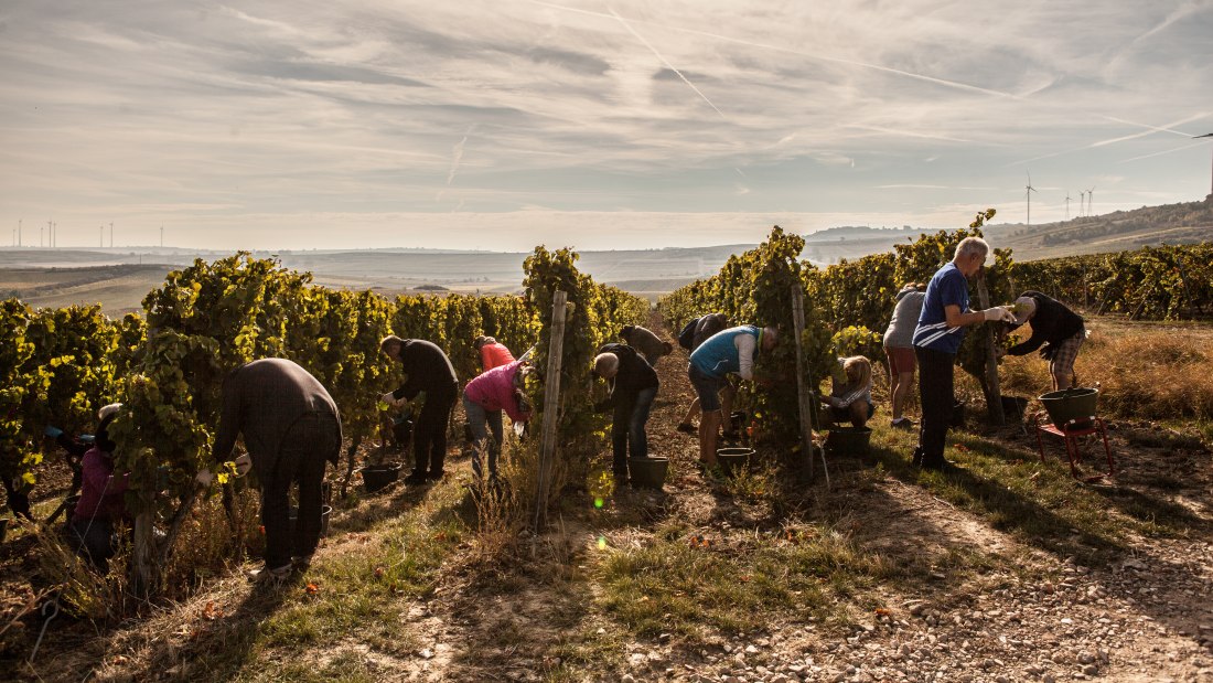 Leser im Sonnenschein, © Sven Hasselbach Leser im Sonnenschein, © Sven Hasselbach