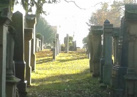 Rundgang Alzeyer Friedhof, © Christine Seibel Rundgang Alzeyer Friedhof, © Christine Seibel