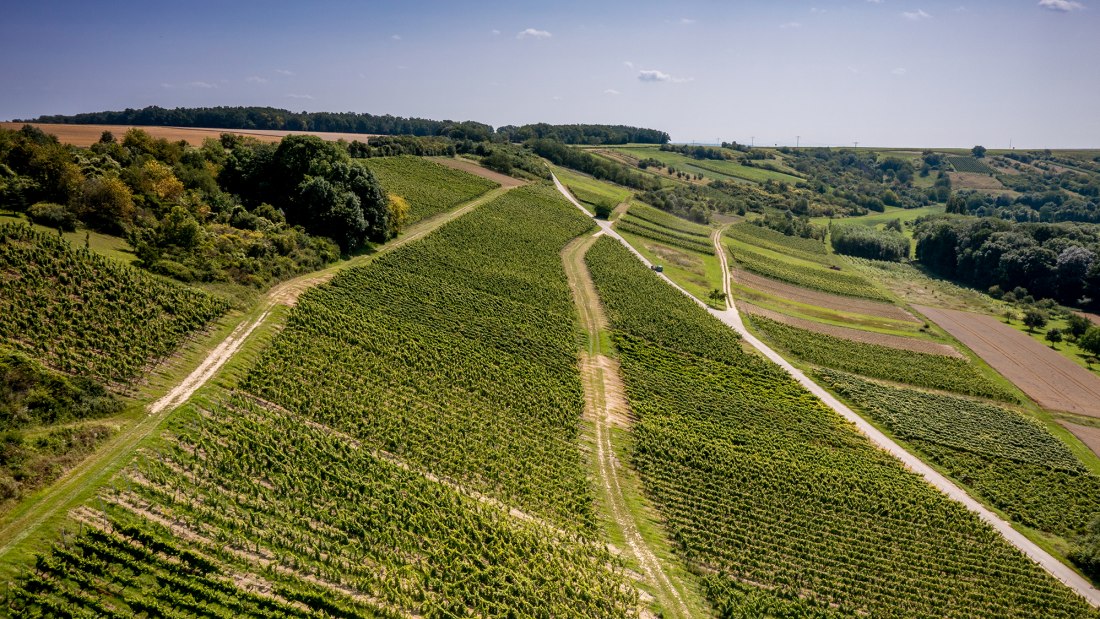 Appenheimer Hundertgulden Appenheimer Hundertgulden