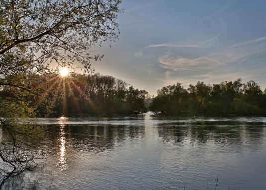 Inselrhein © Rainer Oppenheimer/Stadt Ingelheim Inselrhein © Rainer Oppenheimer/Stadt Ingelheim