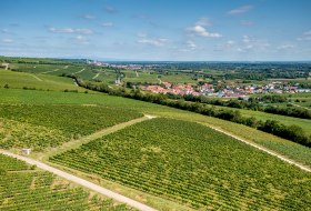 Ludwigshöher Teufelskopf Ludwigshöher Teufelskopf