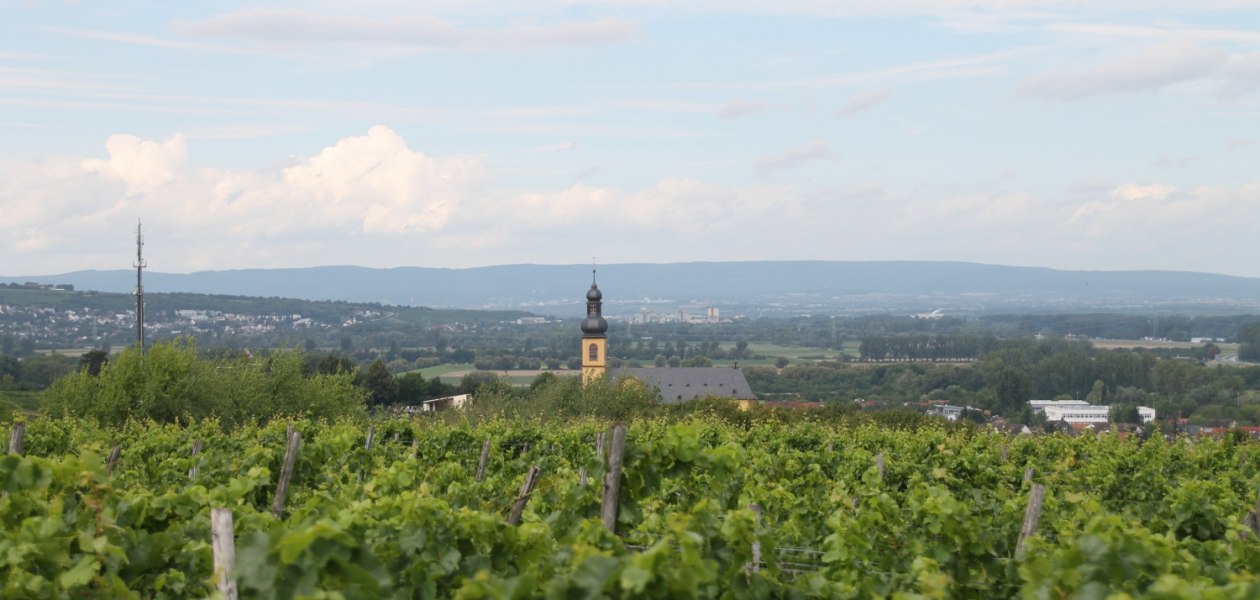 Alt.regional, © Weingut Sans-Lorch Alt.regional, © Weingut Sans-Lorch