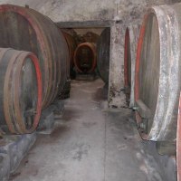 alter Weinkeller © Gästezimmer Mittelgasse alter Weinkeller © Gästezimmer Mittelgasse