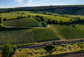 Niersteiner Zehnmorgen Niersteiner Zehnmorgen